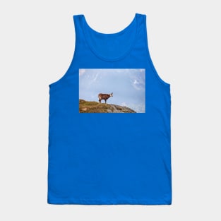 Mountain Chamois in High Tatras National Park Tank Top